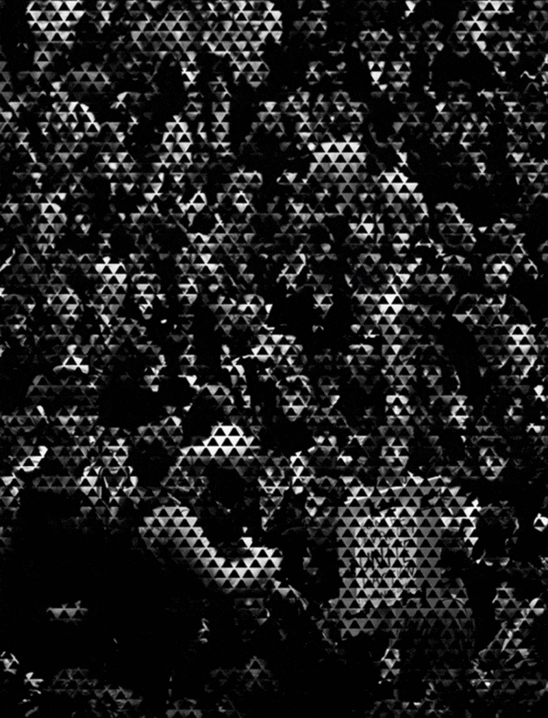 november is coming vote gif